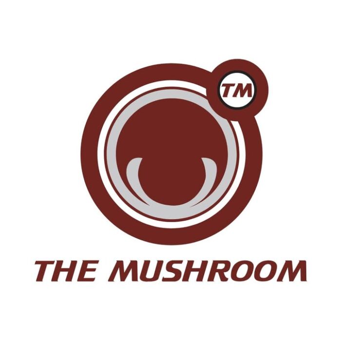 Wir bedanken uns herzlich bei The Mushroom Studio by David Piribauer, die uns heuer 3 Studiotage inklusive technischer Betreuung im Wert von €2.500,- stiften!🎧